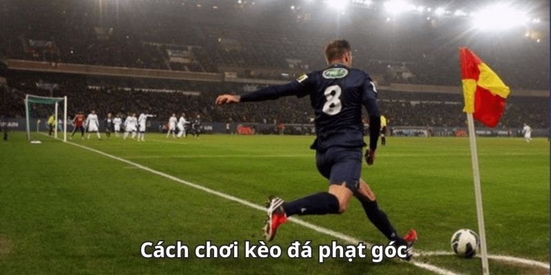 Phân tích tài xỉu phạt góc cần dựa vào lối chơi, thống kê và thế trận thực tế