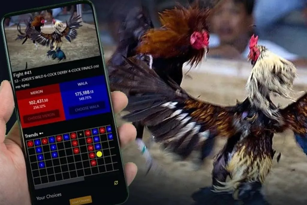 Các mẹo cược khi xem đá gà trực tiếp giúp nâng cao độ chính xác