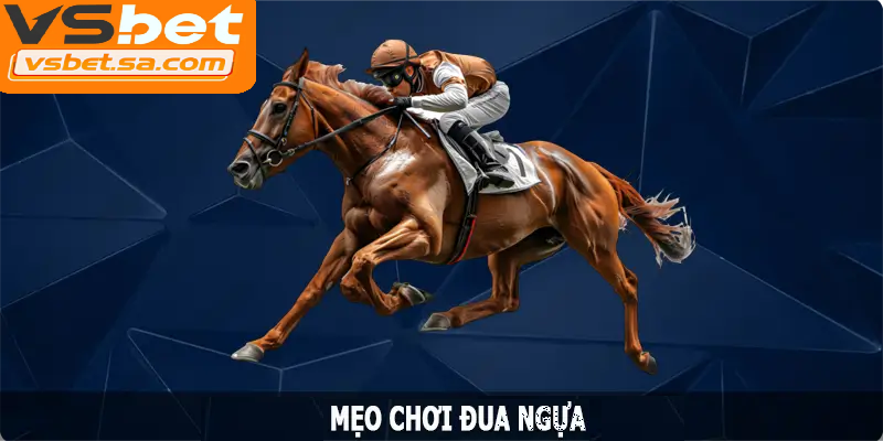 Các mẹo chơi đua ngựa vsbet giúp tăng cơ hội thắng