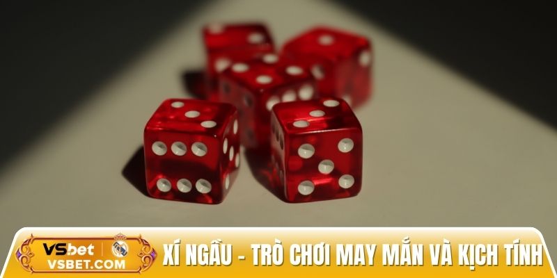 Xí ngầu - trò chơi gắn liền với sự may mắn và kịch tính
