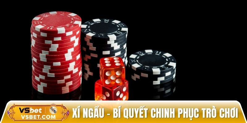 Xí ngầu – Bí quyết chinh phục trò chơi may rủi cuốn hút nhất